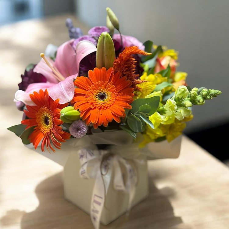 Colorful Box Arrangement